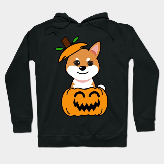 Funny orange dog is in a pumpkin Hoodie by Pet Station